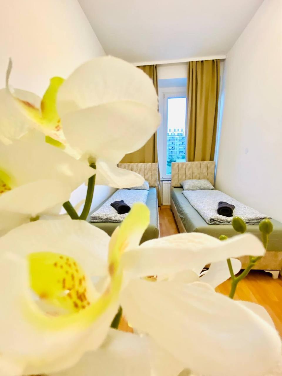 Comfortable Room In The 23Rd District Of Vienna Fr4 Εξωτερικό φωτογραφία
